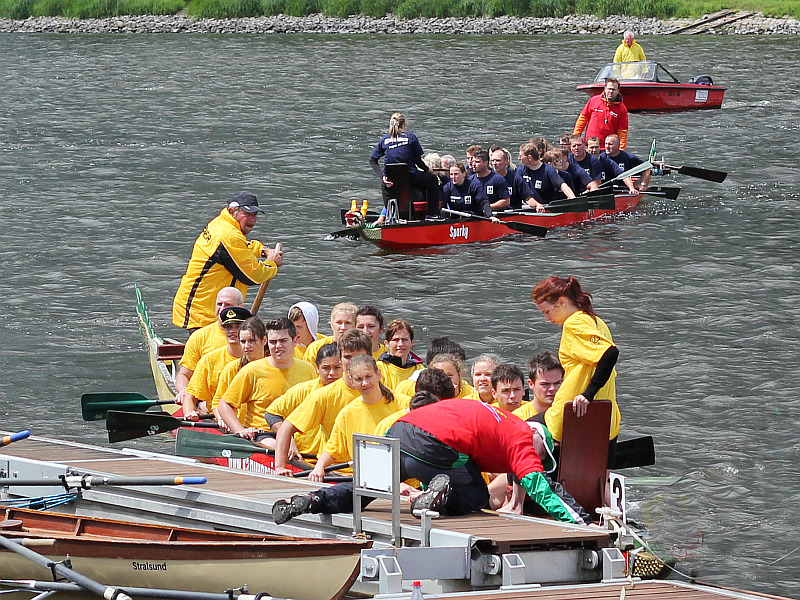 Drachenboot 2015