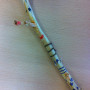 Astmann 2
