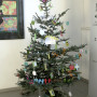 Weihnachtsbaum der Klasse 5_2