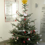 Weihnachtsbaum der Klasse 6_1